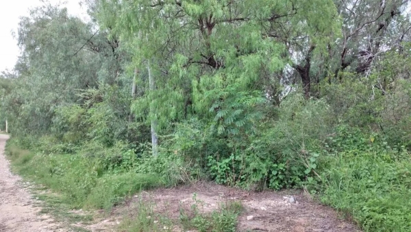 Dueño Vende. Ideal Inversor, En Merlo, San Luis. 29 U$d/m2!!