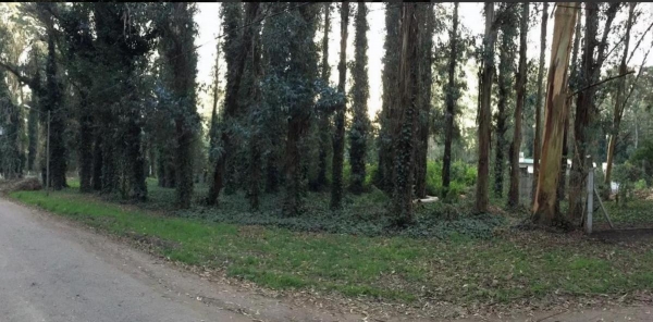 Terreno de 450 m² en Bosque Peralta Ramos
