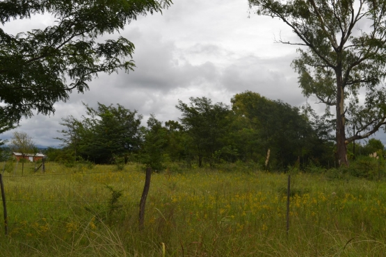 Lote en Los Reartes 600m2