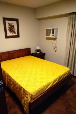 Amoblado. Bello. Super Ubicación (Peatonal). Dueño.