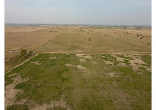 Campo De 204 Has En Sarmiento, Santa Fe
