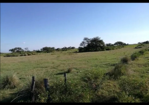 Campo De 2.156 Has En Gregoria Pérez De Denis, Santa Fe