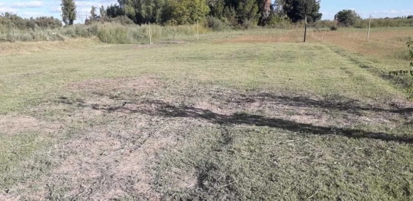 Lotes De 300mts2 En Costa De Araujo