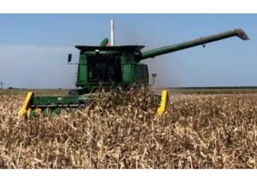 Campo De 48 Has En Guatimozin, Córdoba