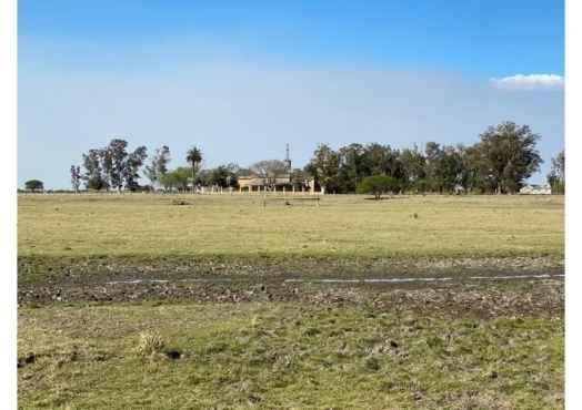 Campo De 1050 Has De En Gualeguay, Entre Ríos