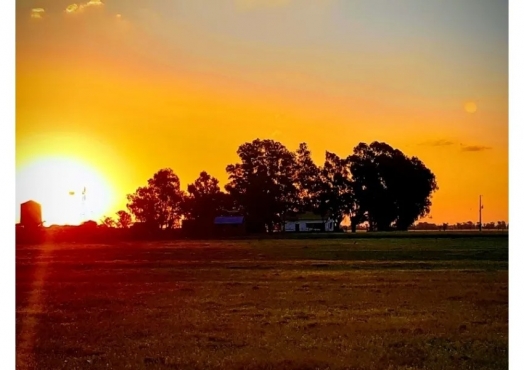 Campo de 160 has en Florentino Ameghino, Buenos Aires.