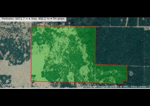 Campo de 400 has en Enrique Urien, Chaco.