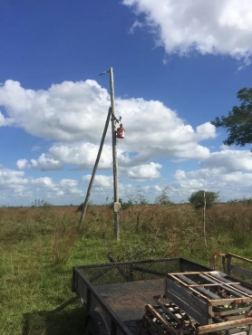 Venta Campo San Luis Del Palmar Corrientes