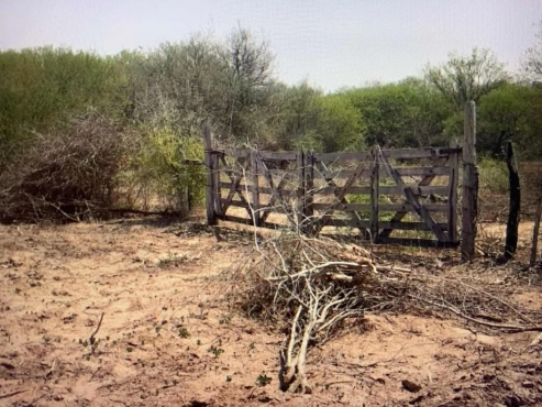 Campos Ibarreta Formosa