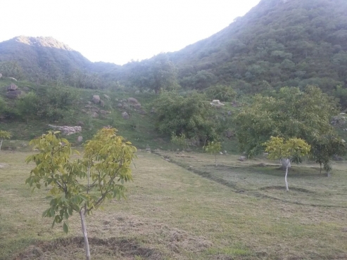 Excelente Finca En Andalgalá, Catamarca