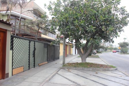 Casa en San Borja