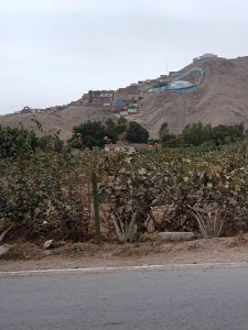 Terreno en venta