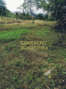 Hermosos Lotes Campestres. Clima Cálido.