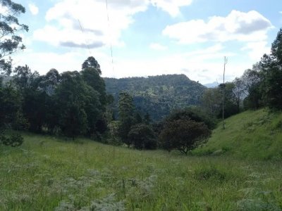 Fanegada En Las Lajas