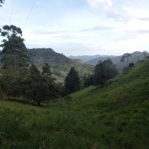 Fanegada En Las Lajas