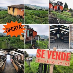 Vendo Finca Con Casa Subachoque