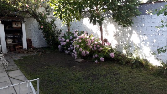 Ve ta pH 3 ambientes. Excelente estado. Jardín patio