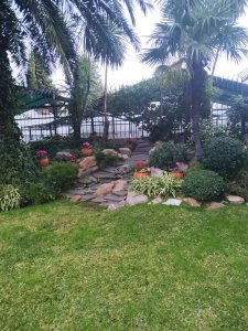 Vendo dpto 3 ambientes  1163014749