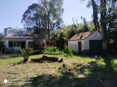 Neptunia Sur A Metros Del Arroyo Tropavieja