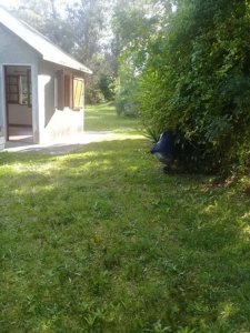 Dueño Vende Terreno 600 M2 Con Mejoras A 3 Cuadras De La Playa. Ideal Proyecto