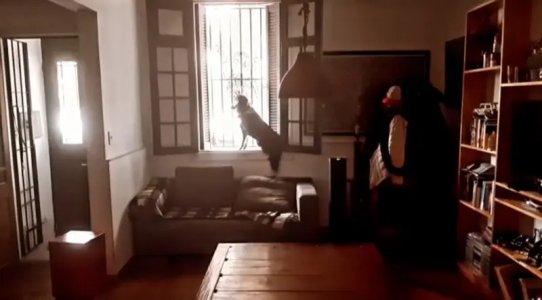 PH 3 cuadras rambla, Pocitos. Con parrillero 120m2