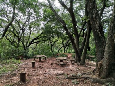 Propiedad de 706,2 m2️ en Areguá