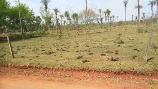 Terreno de 12x30 J. Augusto Saldivar Km 26