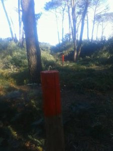 2 solares PLAYA SERENA a 100 mts.del mar.