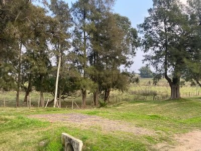 Terreno amplio para emprendimiento San Jacinto