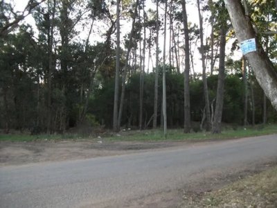 Terreno Con Muy Buena Ubicación