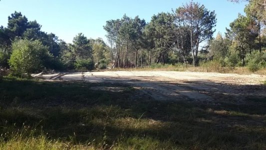 Terreno en Punta Colorada. 1.128 m2 nivelados pronto para construir.