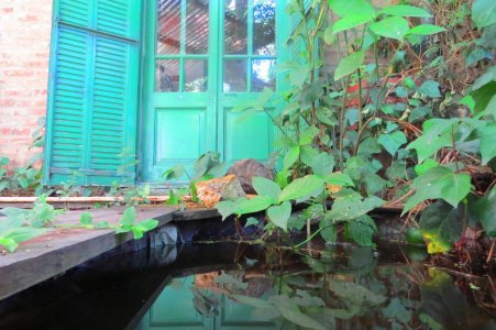 Hermosa y cálida casa a dos cuadras de avenida principal a 8 del centro