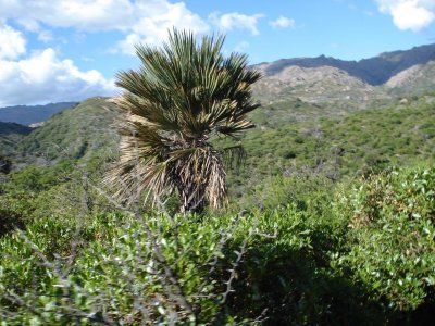 Ultimos lotes a 12mil. En enero 2022 suben de valor. Lotes en barrio ecologico en urbanizacion