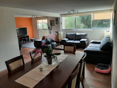 Departamento Recién Remodelado en Arenal.