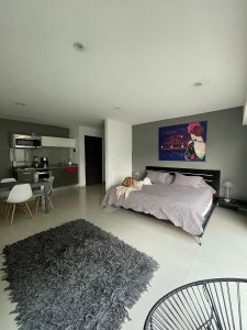 Venta de Loft Polanco/lomas