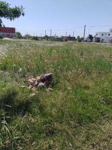 Terreno en Punta Chacra Roldán