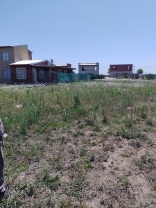 Terreno en Punta Chacra Roldán