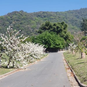 Oportunidad! Hermoso Lote en Nuevo Mundo