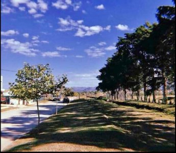 Terreno Comarca de Allende