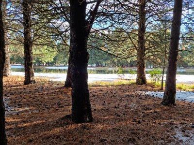 Lote C20 Chapelco Golf And Resort San Martín de Los Andes