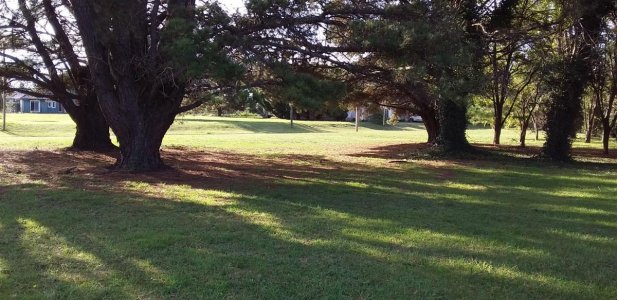 Excelente Terreno en Venta Las Lomas de Miramar.