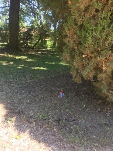 Lote en Venta Country El Jaguel