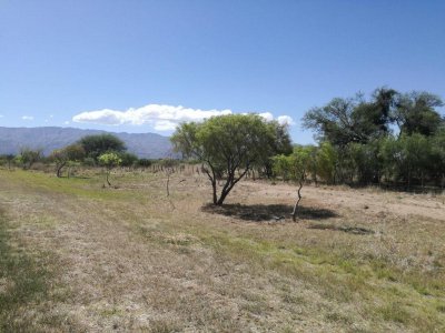 Vendo Terreno 960 m², Trato Directo con Dueño