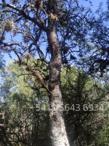 U$s 5.700 - Tu Terreno a 10 Minutos de Capilla del Monte