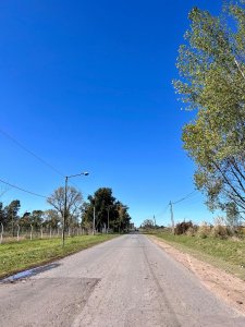 14,5 (Casi 15) Has - Sobre Asfalto