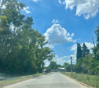 14,5 (Casi 15) Has - Sobre Asfalto