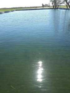 Dueño Vende Fantastica Finca Agrícola/ganadera