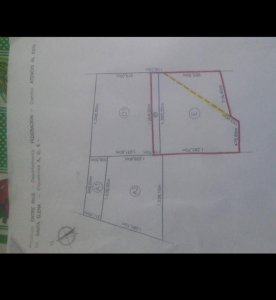 Campo Mixto Totalmente Virgen