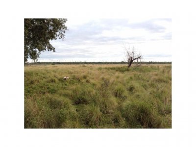 Excelente Campo de Cria en Produccion en Venta de 4000 Ha en Colonia Baranda