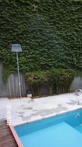 Excelente Dos Ambientes Palermo